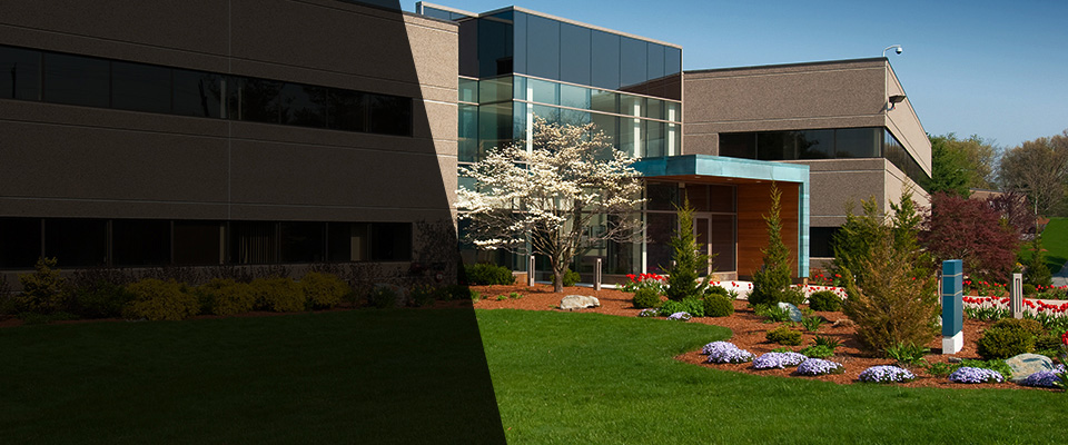 Grosse Ile Landscapers