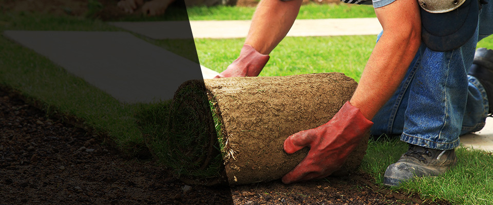Grosse Ile Landscapers
